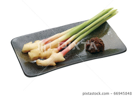 Leaf ginger _09 (with pass) 66945848