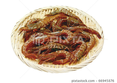 Gas shrimp _01 (with pass) Gas shrimp _01 (with pass) 66945876