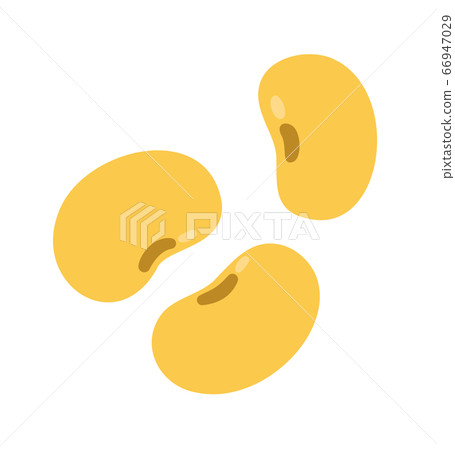 大豆，豆類，大豆 66947029
