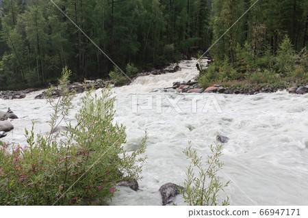 Tekelu River flowing into the Akkem River, Altai Tekelu River flowing into the Akkem River, Altai 66947171