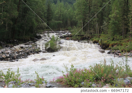 Tekelu River flowing into the Akkem River, Altai 66947172