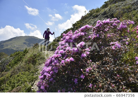 繩紋炎熱的陽光，高山上的高山，登山者若松啟高山，山ru陽也，光谷光孝，山川孝三。 66947356