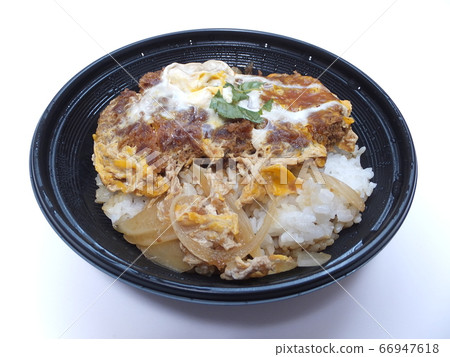 Katsura bowl lunch to take home 66947618