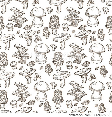 Porcini mushroom, Boletus edulis fungi monochrome seamless pattern Porcini mushroom, Boletus edulis fungi monochrome seamless pattern 66947862