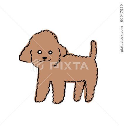 棕色玩具貴賓犬的插圖 棕色玩具貴賓犬的插圖 66947939