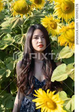 Asian cute young woman joyful, smiling with 66948176