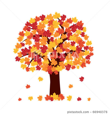 Autumn tree on white background Autumn tree on white background 66948378