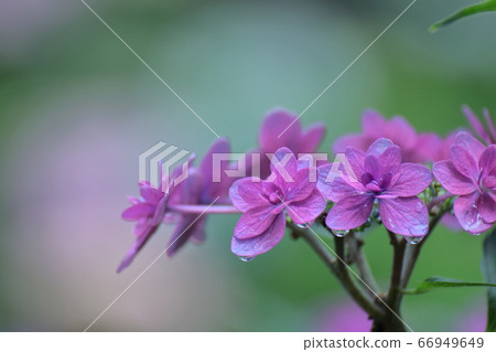 下雨時它會變濕 下雨時它會變濕 66949649