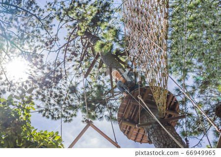 Young attractive woman in adventure rope park in safety equipment 66949965