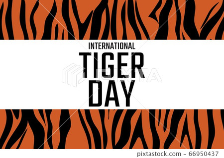 International Tiger Day. July 29. Holiday concept. Template for background, banner, card, poster 66950437