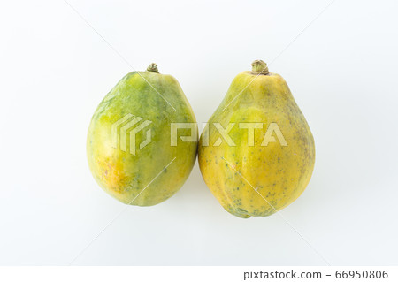 Papaya (Papaya) 66950806