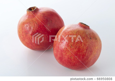 Pomegranate (pomegranate) 66950808