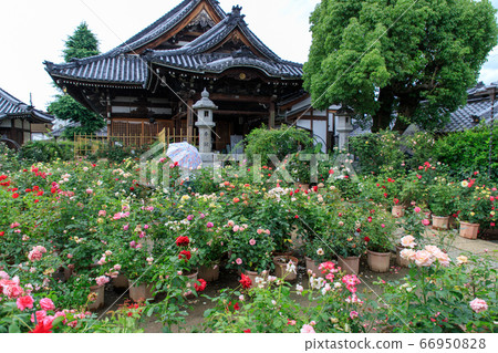Rainy weather kannon 66950828
