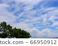 藍天 66950912