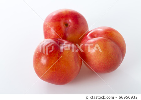 Plum 66950932