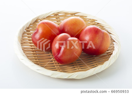 李子 66950933