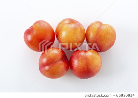 李子 66950934