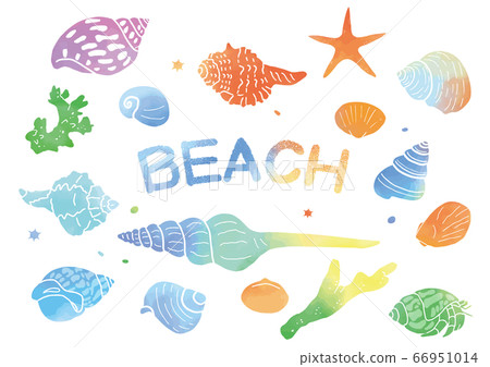 多彩的貝殼,珊瑚和海星 多彩的貝殼,珊瑚和海星 66951014