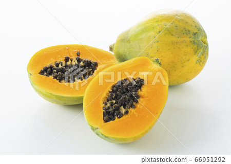 Papaya (Papaya) 66951292