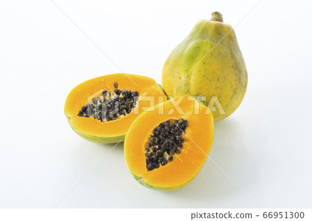 Papaya (Papaya) 66951300