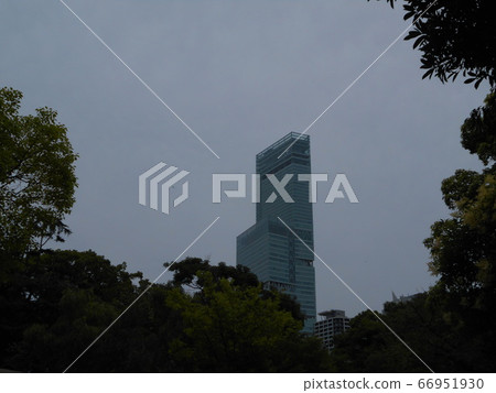 A view from below 66951930