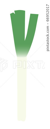 Green onion Green onion 66952017