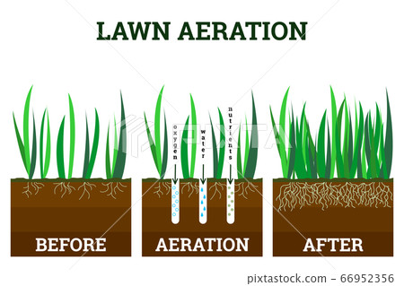Vector illustration of stages lawn aeration. Before and after steps. Concept of lawn grass care, gardening service, benefits of aeration. Water, air and fertilizer having easy access to soil 66952356