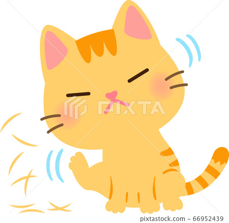 貓撓頭撓頭 66952439