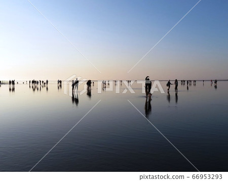 高見濕地 高見濕地 66953293