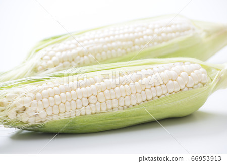 白玉米純白夏季蔬菜 白玉米純白夏季蔬菜 66953913