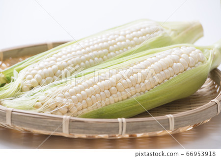 白玉米純白夏季蔬菜 66953918