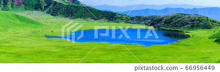 阿蘇山和庫森里新鮮的綠化和初夏的季節 66956449
