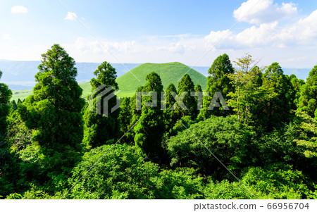 通往阿蘇山的米塚路的風景新鮮的綠化和初夏的季節 通往阿蘇山的米塚路的風景新鮮的綠化和初夏的季節 66956704