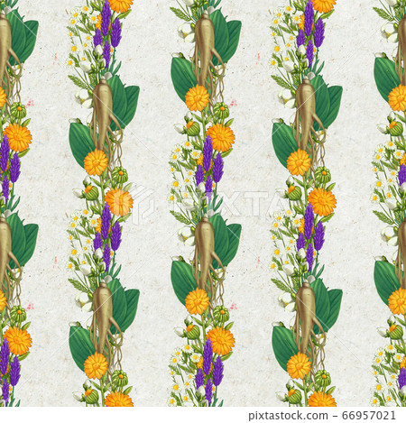 Hand drawn medicinal plant seamless pattern. Healing herbs drawing on craft paper. 66957021