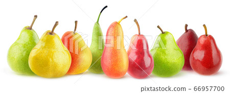 Different pears isolated panorama Different pears isolated panorama 66957700