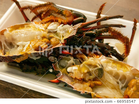Ise shrimp 66958547