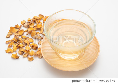 Uchincha有白色背景 66959175