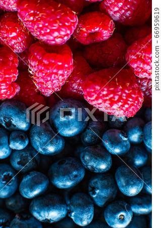 A close-up of raspberries and black blueberry A close-up of raspberries and black blueberry 66959619