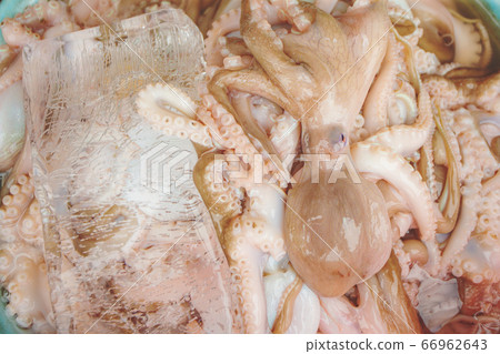 Frozen octopus Frozen octopus 66962643