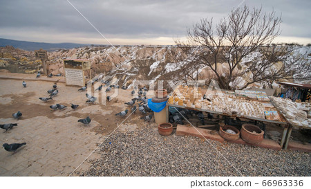 Beautiful landscape of pigeons are flying in Cappadocia pigeon valley, Uchisar, Turkey. 66963336