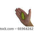 Ta-ling Pling in the boy's hand. clipping path. 66964282