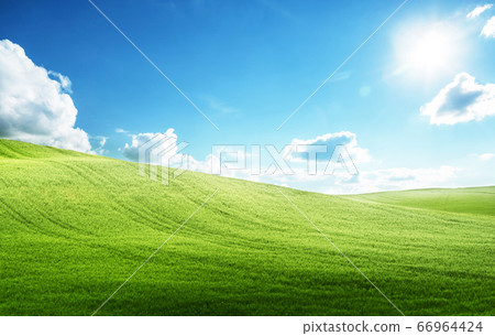 field of grass and perfect blue sky field of grass and perfect blue sky 66964424