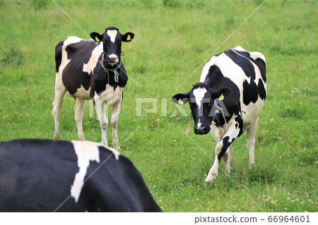 A landscape of a ranch 66964601