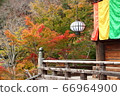 Autumn leaves of a temple 66964900