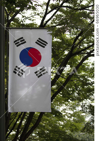 Korean Flag 66965030