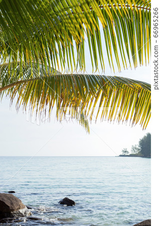 palm branches and tropical sea. palm branches and tropical sea. 66965266