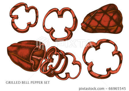 Vector set of hand drawn colored grilled bell pepper Vector set of hand drawn colored grilled bell pepper 66965545