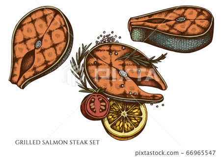 Vector set of hand drawn colored grilled salmon steak Vector set of hand drawn colored grilled salmon steak 66965547