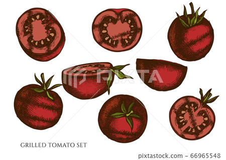 Vector set of hand drawn colored grilled tomato Vector set of hand drawn colored grilled tomato 66965548
