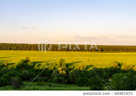 River, trees and fields in the afternoon sun 66965855